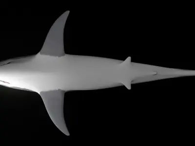 sharky shark Low-poly 3D model
