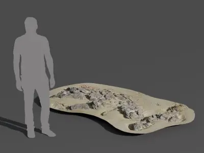  Medium Scattered Beach Rock Model 