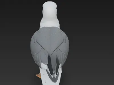 Seagull Realistic 3D Model Basic - Low Poly Realistic Low-poly 3D model