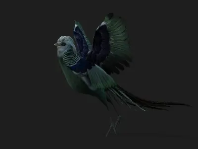 Pheasant A5 3D model