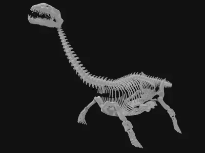 Plesiosaur skeleton 3D model