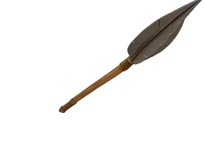 Feathered Tribal Spear 3D model