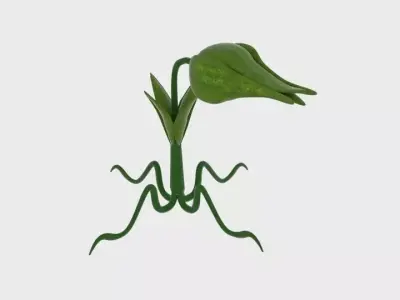  Cartoon Munch Plant  Low-poly 3D model