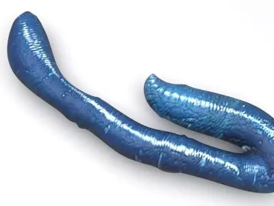 Blue Earthworm 3D model