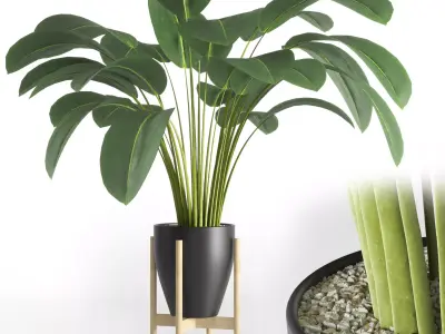 Indoor plant 01 Low-poly 3D model