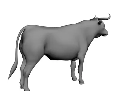 Bull Mesh 3D model