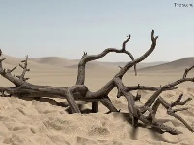 Dry Old Tree on Dune Surface 3D model