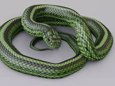 Rigged Green Snake Free 3D model