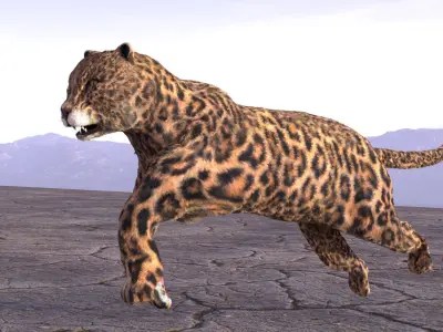 Leopard jaguar running in desert 3D model
