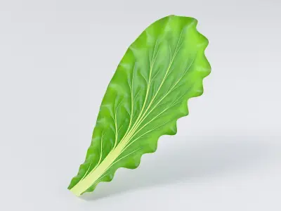 Cartoon Lettuce 3D model