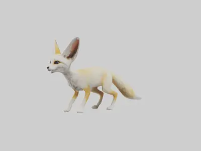Fennec Fox listening model Low-poly 3D model