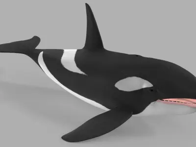 Whale Killer 3D model