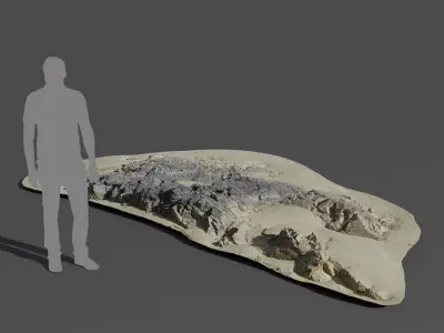  Large Low Jagged Beach Rock Model 