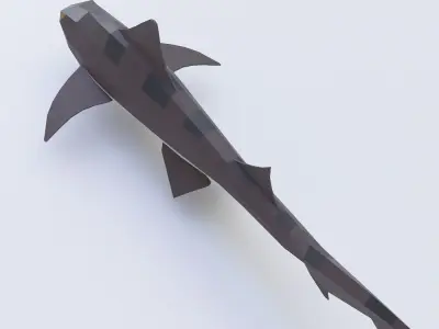 Leopard shark fish low poly 3d model  Low-poly 3D model