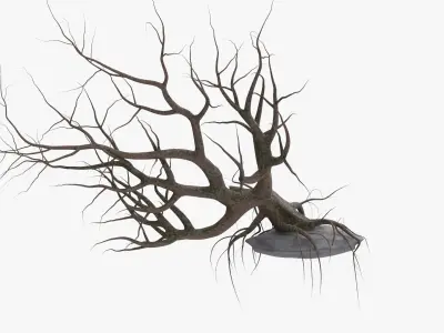 Old Tree 3D model purchase