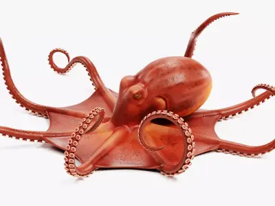 -Giant Pacific Octopus Rigged and Animated- 3D model