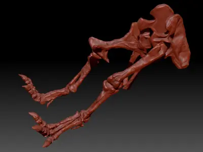 Dinosaur Giganotosaurus Hip Leg Set Skeletons 3D model
