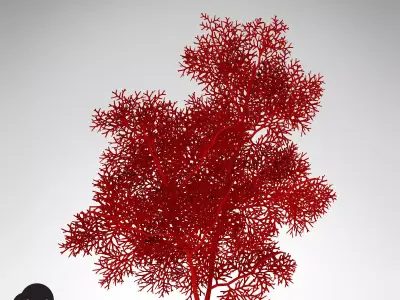 XfrogPlants Giant Sea Fan 3D model