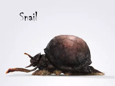 Snail Low-poly 3D model