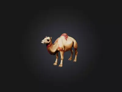 Realistic Wounded Camel Model Low-poly 3D model