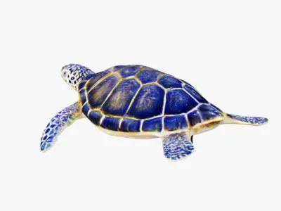 Sea Turtle Free 3D model