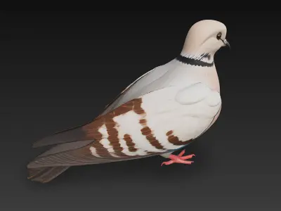 Dove Realistic 3D Model Basic - Low Poly Realistic Low-poly 3D model