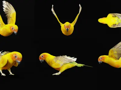 Golden Conure Parrot Bird Low-poly 3D model