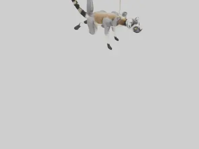 Endangered Lemur swinging model Low-poly 3D model