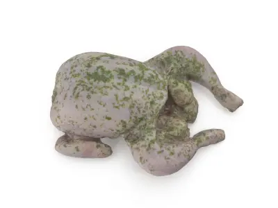 Raw Chicken seasoned with sage - 4K textures 3D model