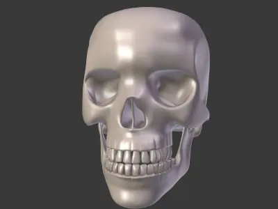Skull Low-poly 3D model
