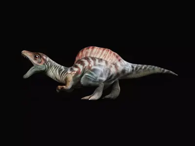 Spinosaurus Baby Dinosaur Low-poly 3D model