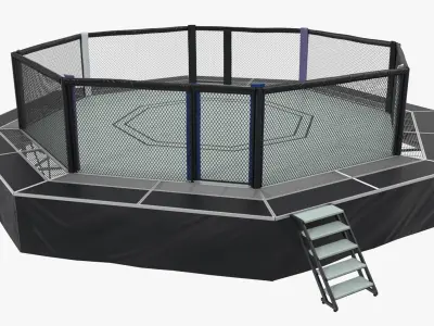 Fighting Octagon Arena 3D Model purchase