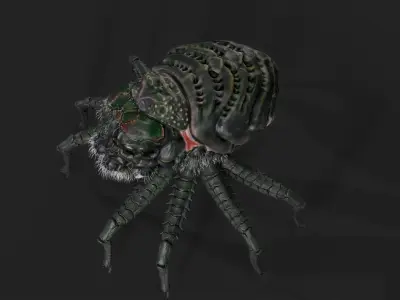 Spider - Tarantula with animations 3D model