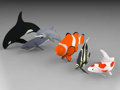 Fish shark koi carp dolphin killer whale clown fish and angel  3D model