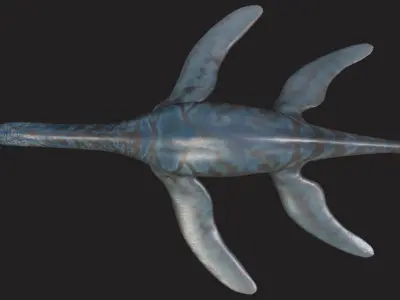 Brancasaurus The Graceful Swimmer of the Early Cretaceous Low-poly 3D model