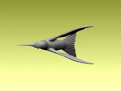 colibri humming bird 3D model