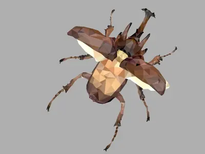 Chafer Beetle Low Polygon Art Insect Low-poly 3D model