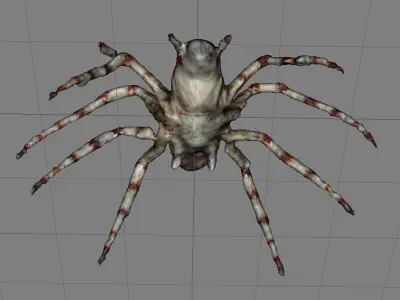 spooky scary white spider 3D print model