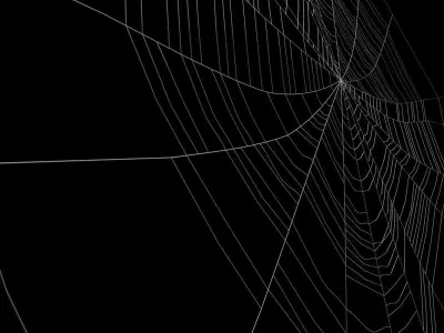 Spiderweb 2 3D model