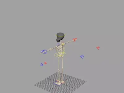 Skeleton Fully Rigged 3D model