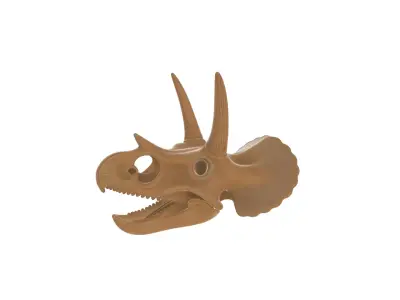 Realistic Triceratops Dinosaur Skull 3D print model
