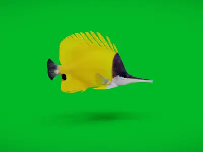 Longnose Butterflyfish Low-poly 3D model