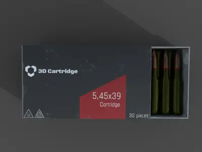 Cartridges in the box 3D model