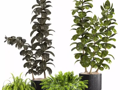 Indoor Plants in Ferm Living Bau Pot Large - Set027 3D model