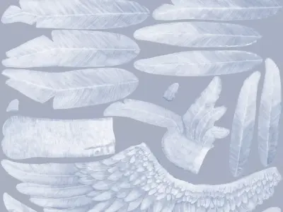 Jay Models Free 3D model