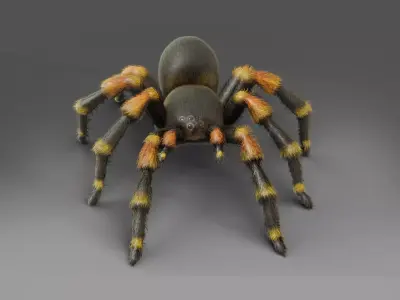 3D Spider Tarantula Rigged and Animation Low-poly 3D model