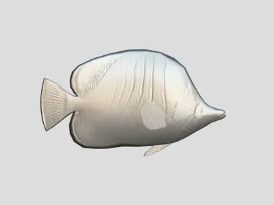 Yellow Head Butterfly fish Low-poly 3D model