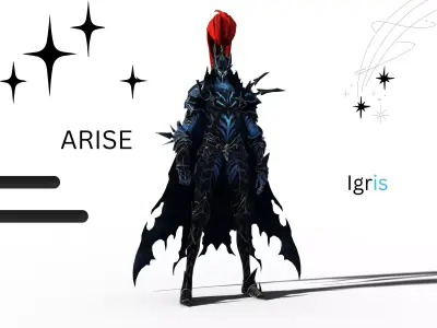 Solo leveling - Arise from The shadow Rigged Low-poly 3D model