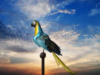 3d Bird model parrot perched on pole at sunset Low-poly 3D model