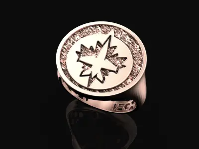 Winnipeg Jets Ring Fan Rings NHL Hockey Rings 3D print model